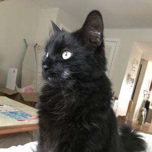 Meet your Posher, Jane